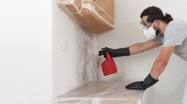 Professional Mold Inspection And Testing technician working in Freeland, MI