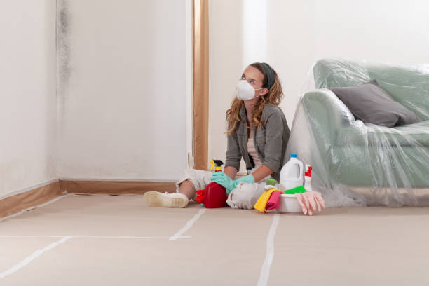Reliable Mold Inspection And Testing contractor in Freeland, MI by Car Mold Remediation